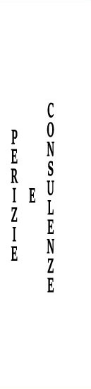perizie e consulenze